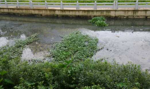 [廣東]河道清淤8寸立式泥漿泵，砂泵廠家直供